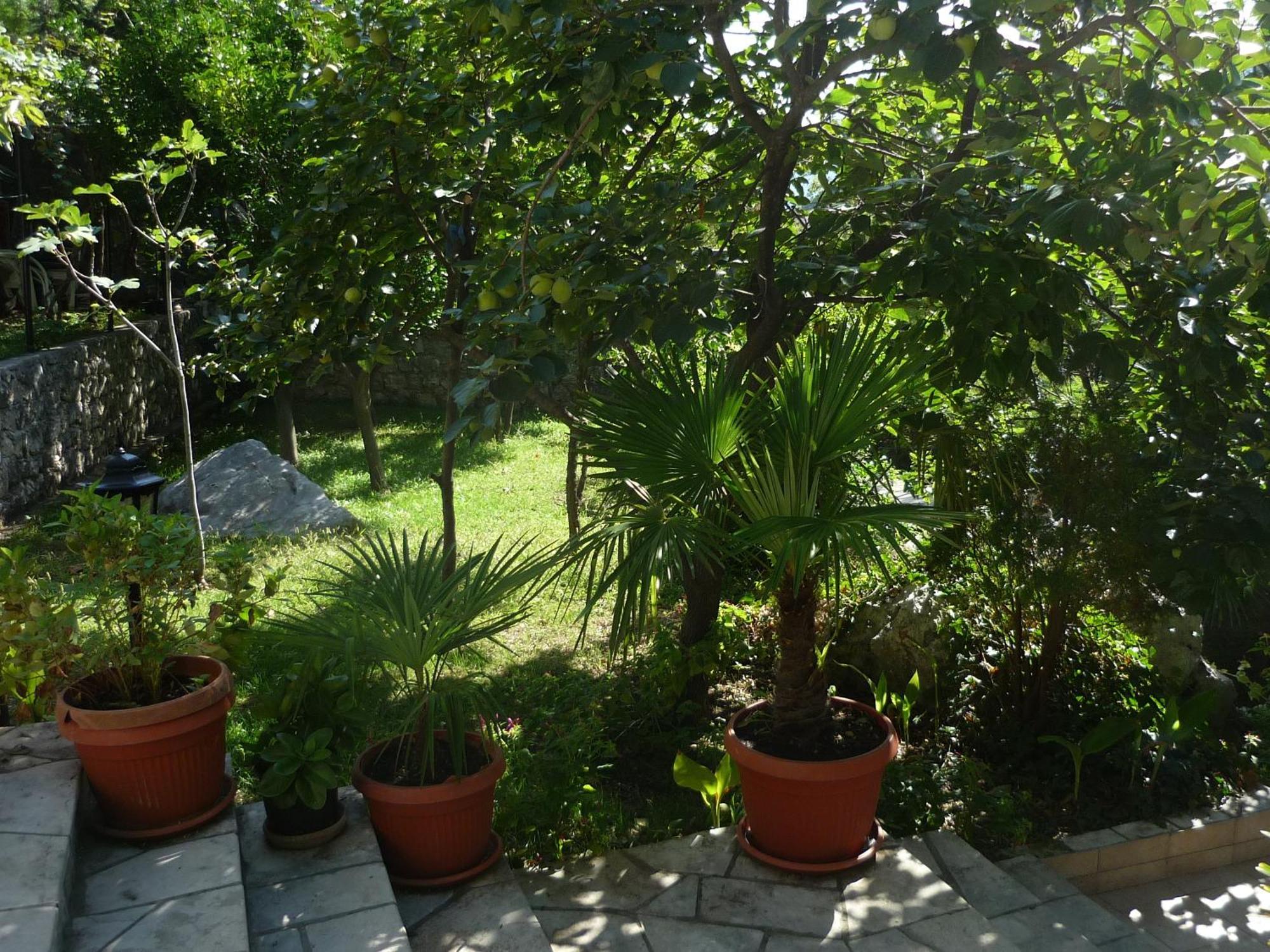 Apartments Villa Pm كوتور المظهر الخارجي الصورة